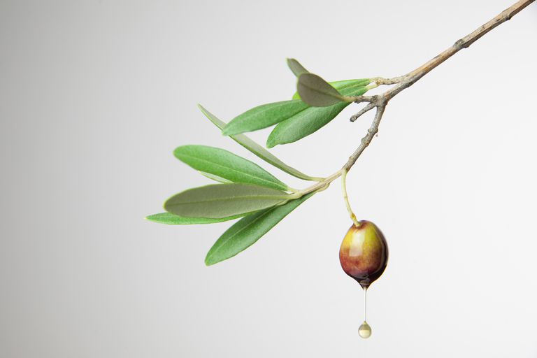 pour santé, huile olive, dans corps, excellente source, maladie cardiaque