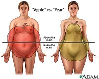graisse corporelle, peuvent être, hommes femmes, maladie cardiaque, masse corporelle, mesure graisse