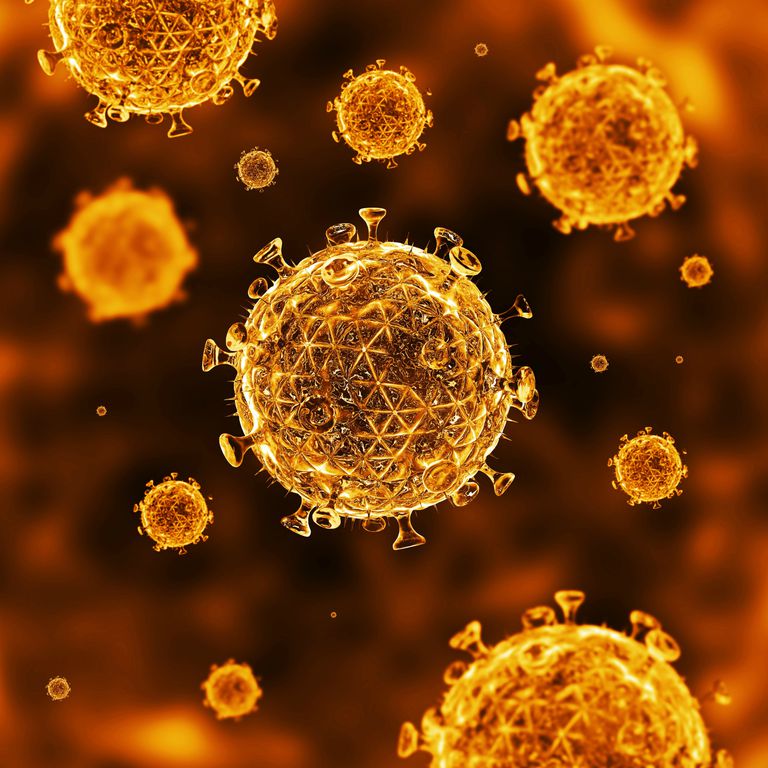 infections opportunistes, dans corps, système immunitaire, cellules sont