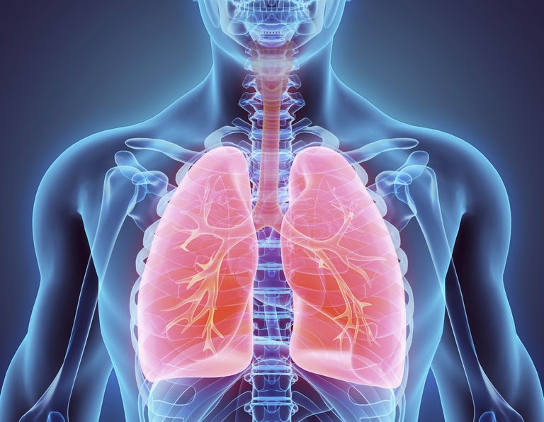 voies respiratoires, cancer poumon, votre médecin, votre bronchoscopie