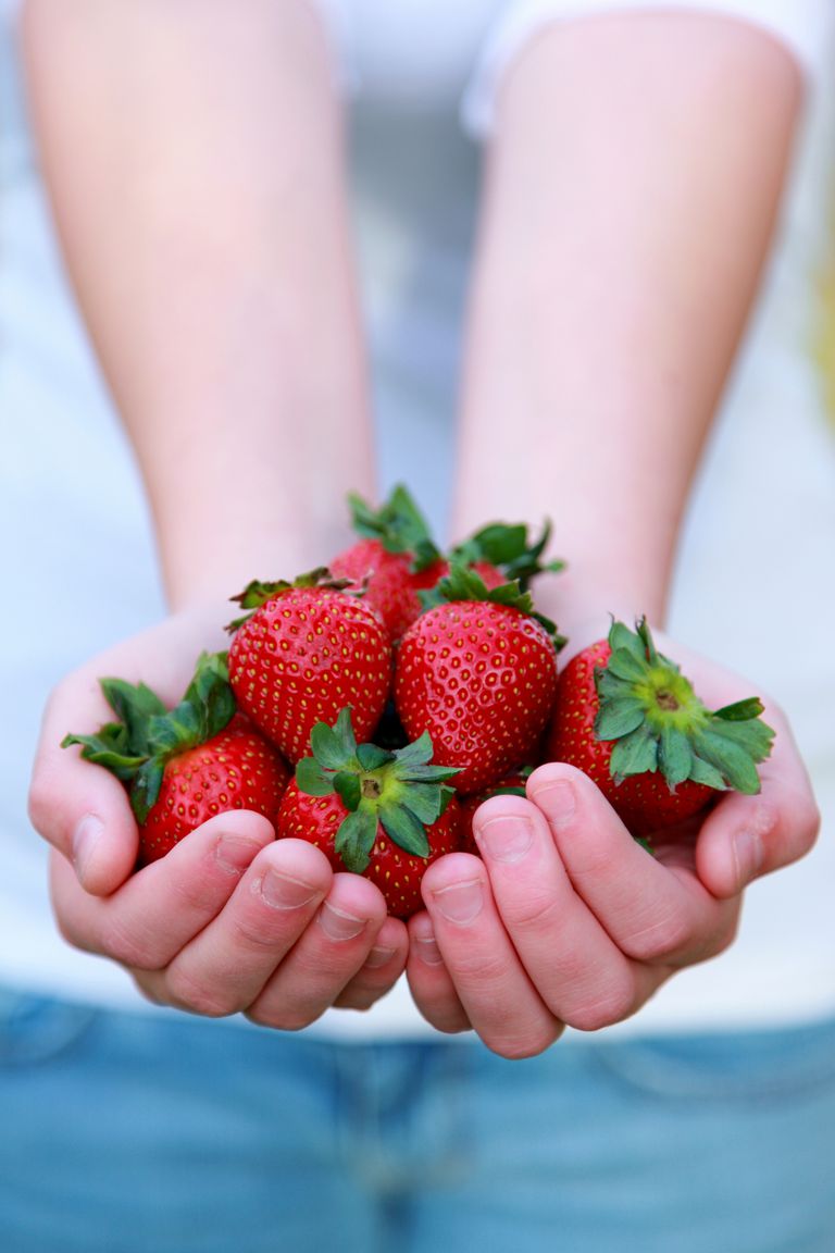 consommation fraises, dans études, fraises taux, fraises taux cholestérol, taux cholestérol