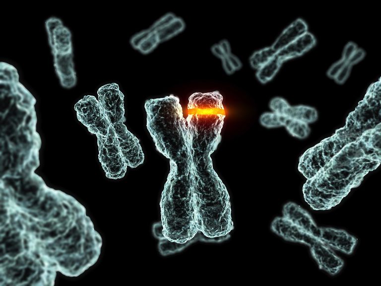 changements génétiques, cancers sang, translocations sont, «erreur» dans, aiguë leucémie, autre chromosome