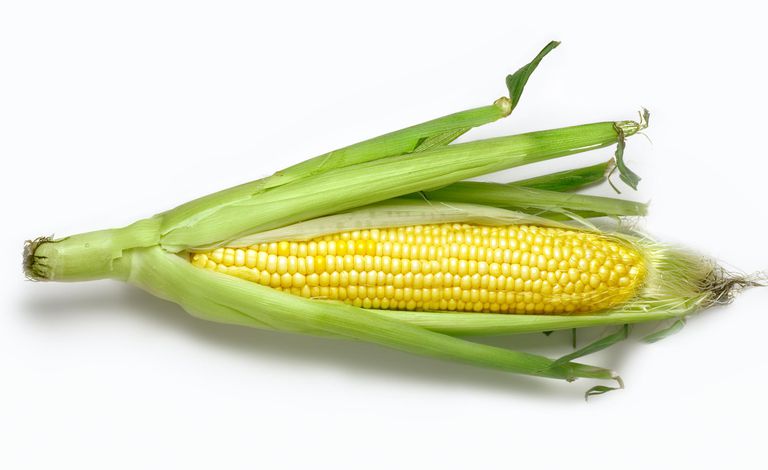 fécule maïs, aliments liés, aliments liés maïs, consommation maïs, contenir maïs