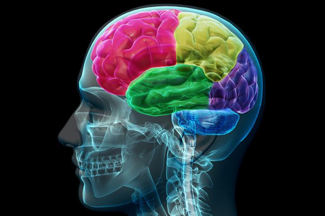 cérébrale profonde, stimulation cérébrale, stimulation cérébrale profonde, effets secondaires, traitement dystonie, dans traitement