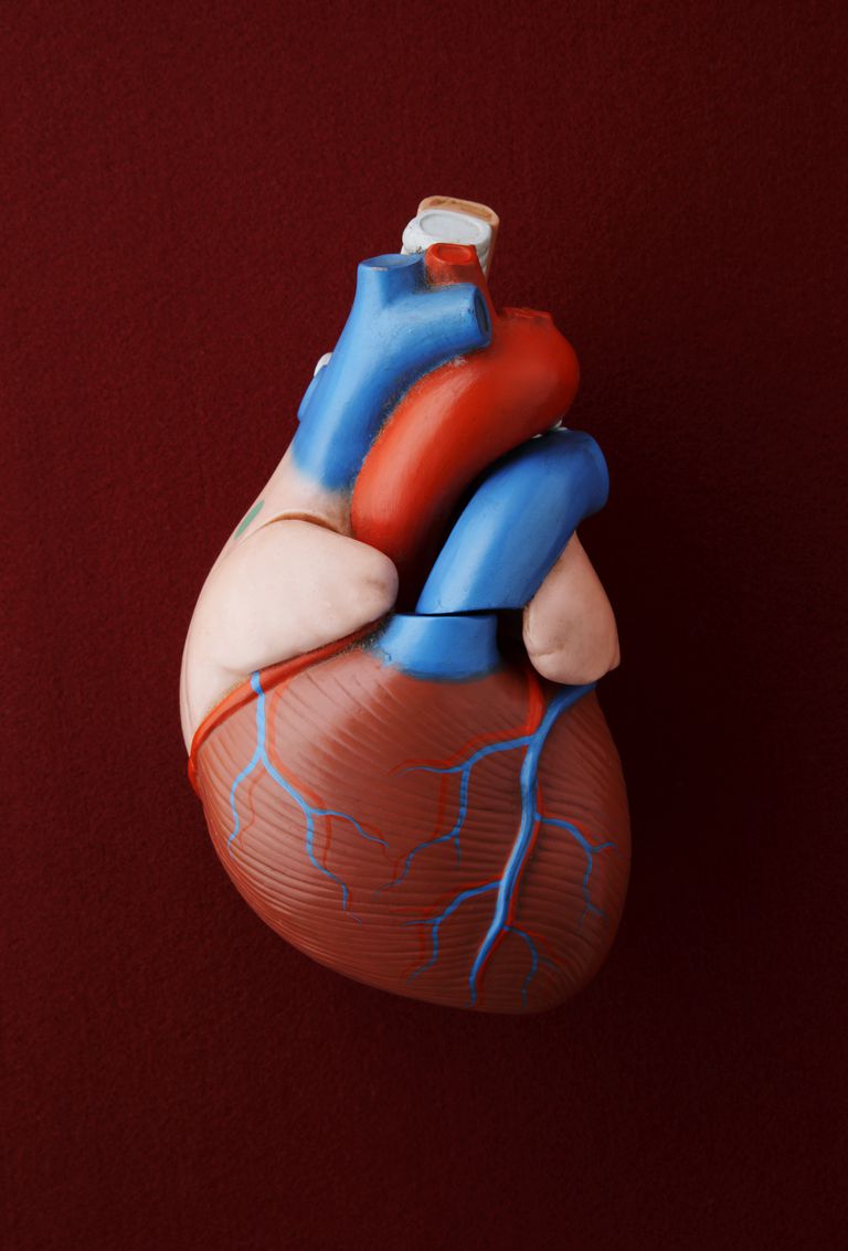 fraction éjection, muscle cardiaque, insuffisance cardiaque, «fraction éjection»