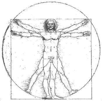 partie corps, position anatomique, avant corps, réfère avant, réfère avant corps, antérieur postérieur