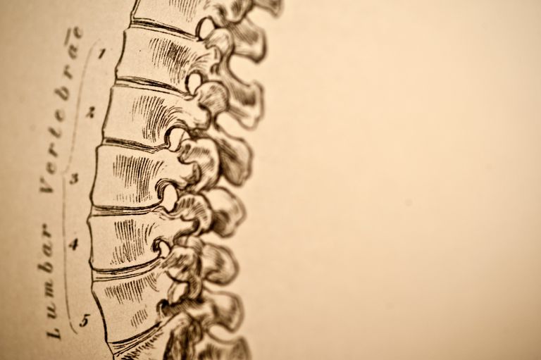 colonne vertébrale, colonne vertébrale lombaire, vertébrale lombaire, rachis lombaire, avant corps