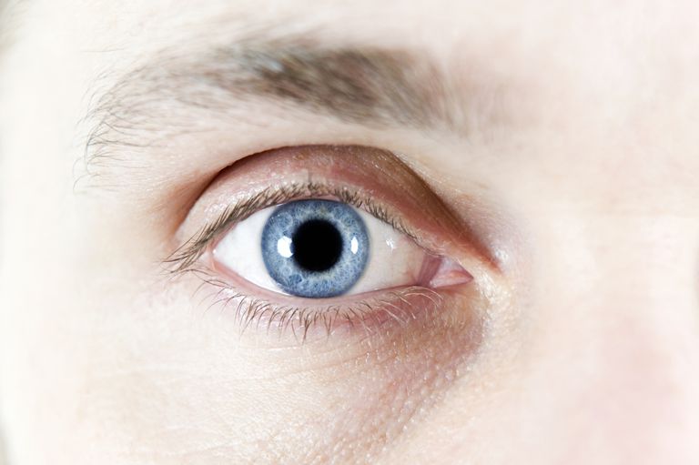 greffe cornée, greffe oculaire, améliorer vision, apport sanguin, cornée cornée, cornée peut