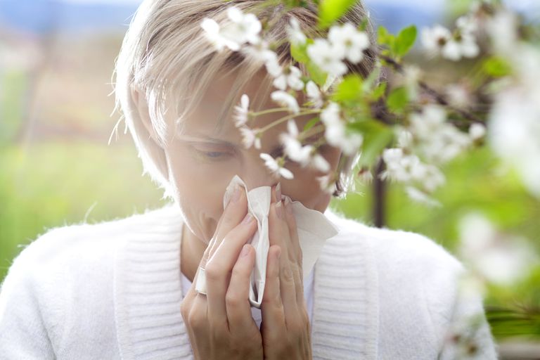 entre allergies, lien entre, allergies peuvent, lien entre allergies