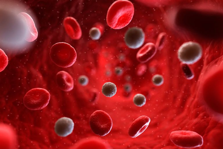 globules rouges, nombre globules, nombre globules rouges, globules rouges sont, moyenne hémoglobine, rouges sont