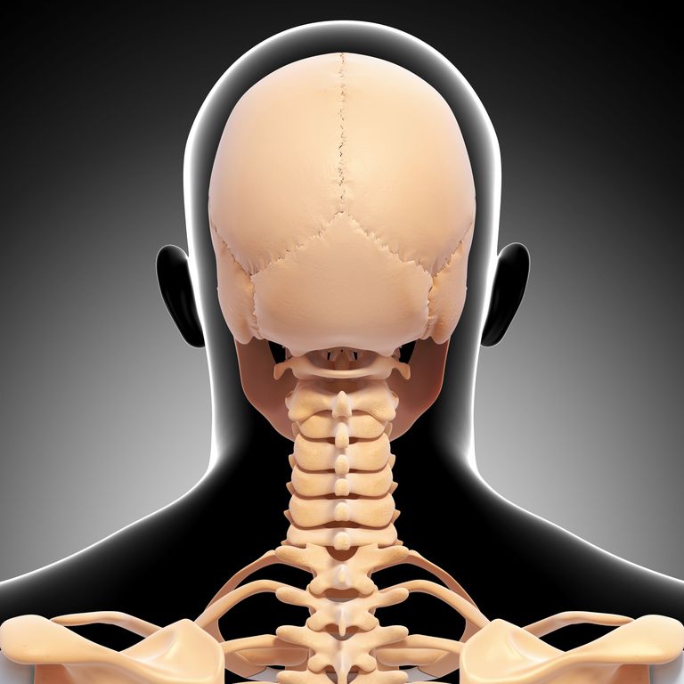 processus odontoïde, Type fracture, articulation atlanto-axoïdale, autres types, colonne vertébrale
