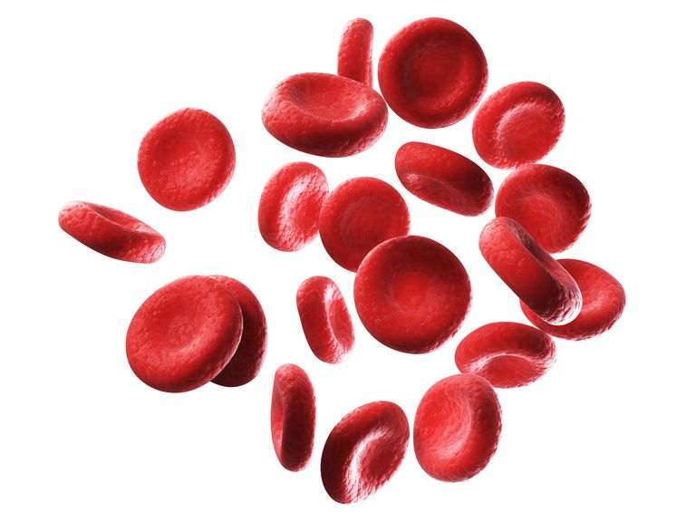globules rouges, peut être, trop globules, trop globules rouges, être utilisé, peut être utilisé
