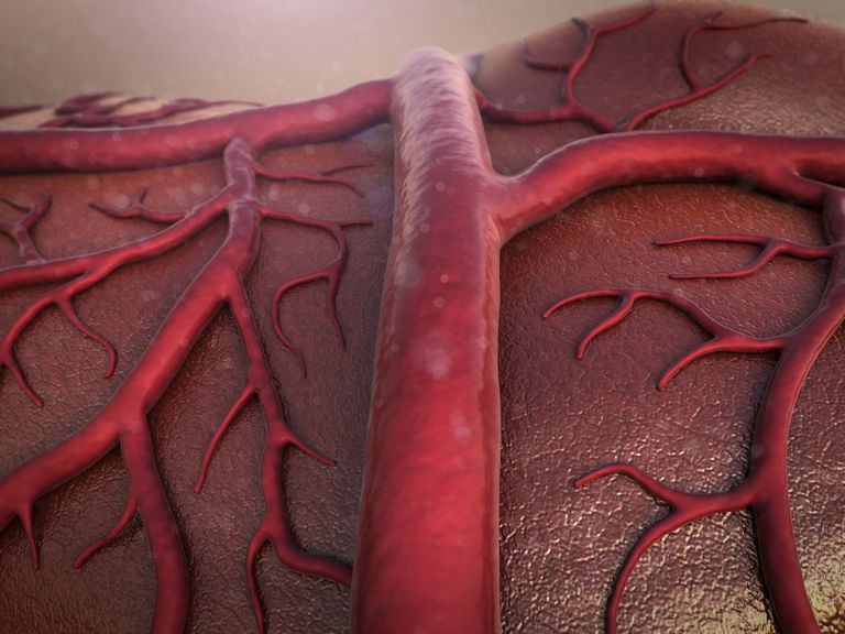 vaisseaux sanguins, nouveaux vaisseaux, nouveaux vaisseaux sanguins, inhibiteurs angiogenèse, angiogenèse dans