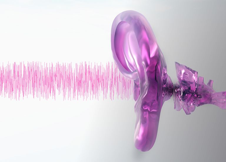 osselets auditifs, oreille interne, oreille moyenne, auditifs sont, dans audition