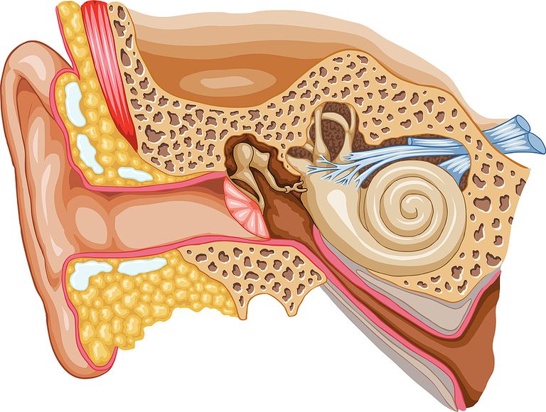 American Tinnitus, American Tinnitus Association, Tinnitus Association, acouphènes peuvent