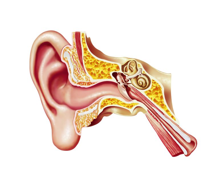 tube auditif, dans oreille, oreille moyenne, dysfonctionnement tube, dysfonctionnement tube auditif, peut être