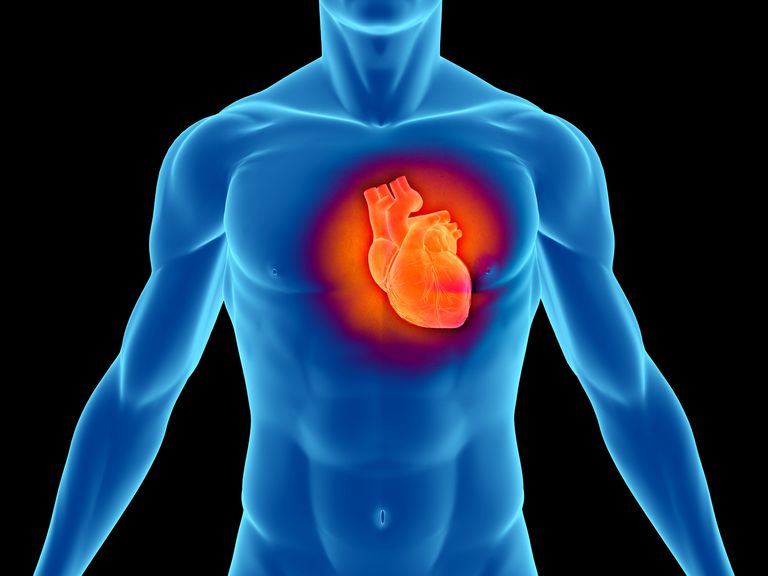 tension artérielle, cœur peut, cœur doit, diastolique cœur, fréquence cardiaque