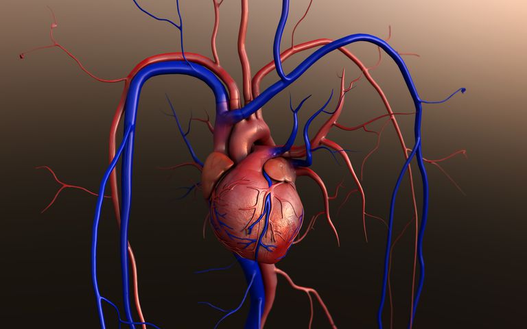 transplantation cardiaque, nouveau cœur, insuffisance cardiaque, médicaments anti-rejet, besoin transplantation, besoin transplantation cardiaque
