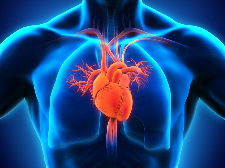 sténose aortique, valve aortique, ventricule gauche, dépôts calcium