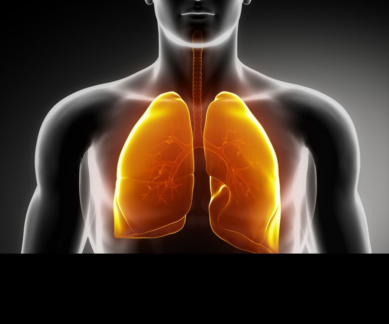 cancer poumon, stade précoce, poumon stade, cancer poumon stade, poumon stade précoce