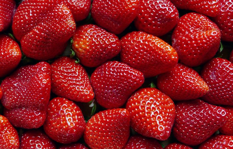 elles sont, fraises sont, fibres calories, charge glycémique, hydrates carbone, elles sont consommées
